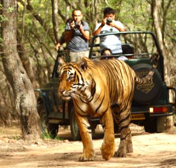jim-corbett